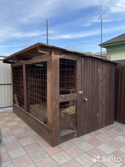 Вольер для собак уличный