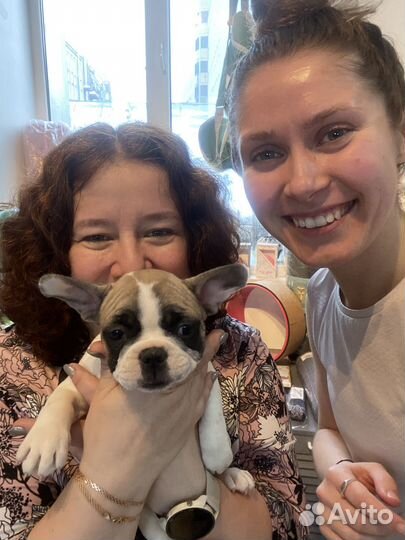 Выгул собак / Догситтер/Зооняня