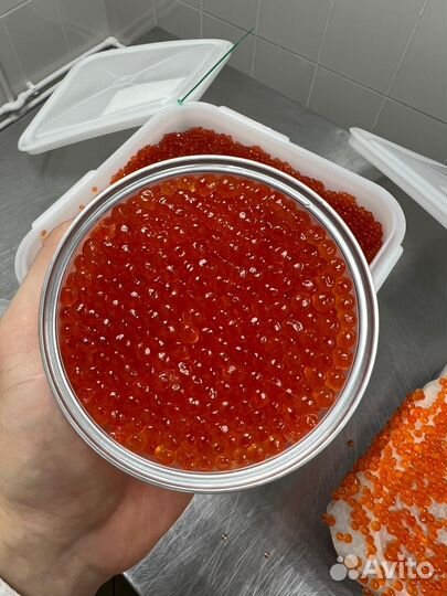 Икра красная - 2023 фасовка