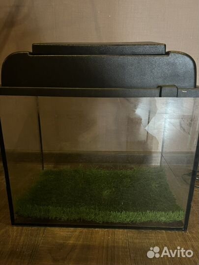 Набор для содержания эублефара