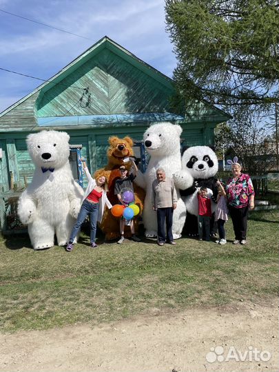 Поздравление от Белого мишки Пломбира