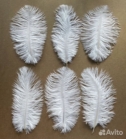 Перья страуса для творчества