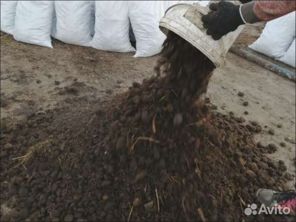 Подстилка конская (навоз конский с опилками) 50 ли