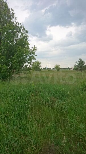 Участок 20 сот. (ИЖС)