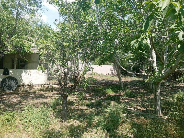 Участок 4 сот. (СНТ, ДНП)