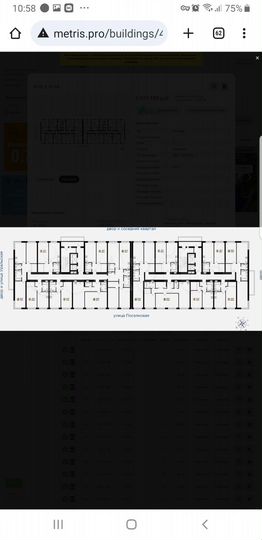 3-к. квартира, 83,4 м², 7/24 эт.