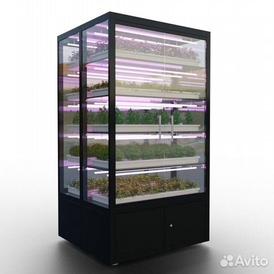 Готовая ферма для выращивания зелени и клубники