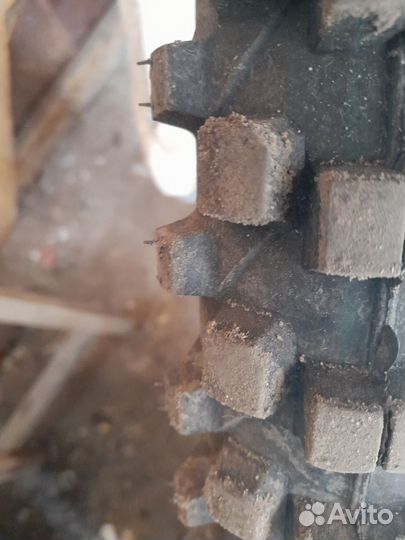 Ирбис ттр250