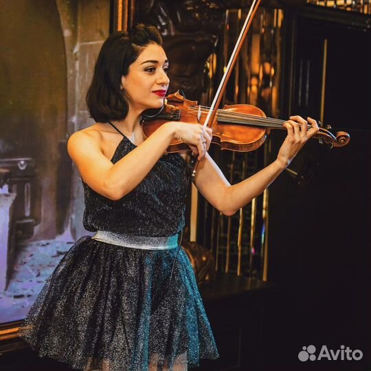 Скрипачка Музыкант