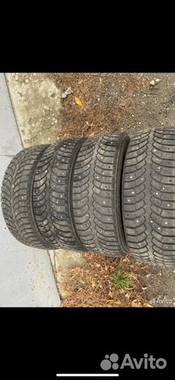 Bridgestone Blizzak DM-V1 185/65 R15