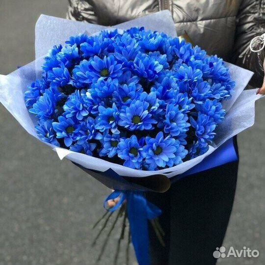 7 кустовых хризантем в Кемерово