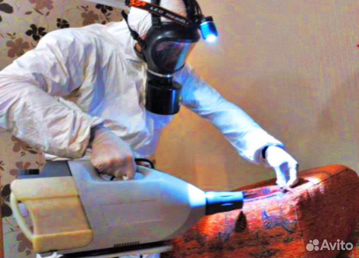 Уничтожение тараканов, травить клопов, дезинфекция