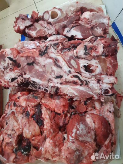 Нубийские % Козочки. Дойные козы