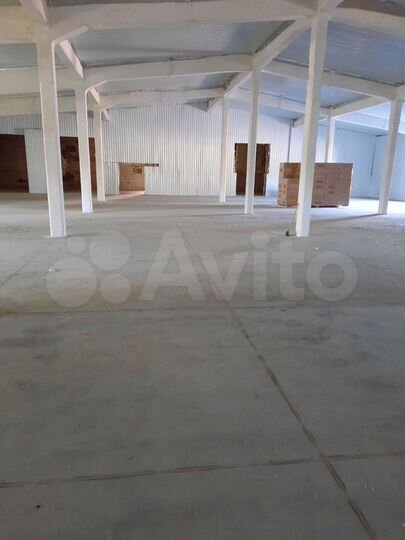 Торговая площадь, 4200 м²