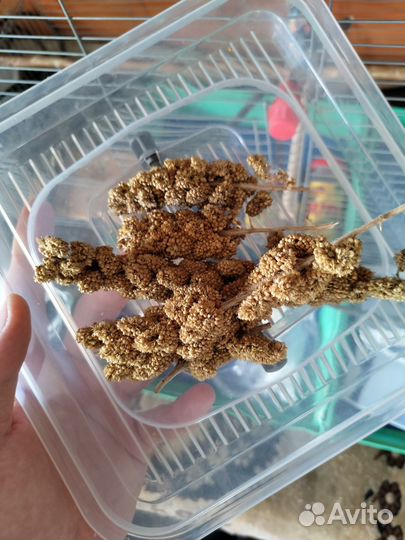 Большая клетка для попугаев (90/40/50)