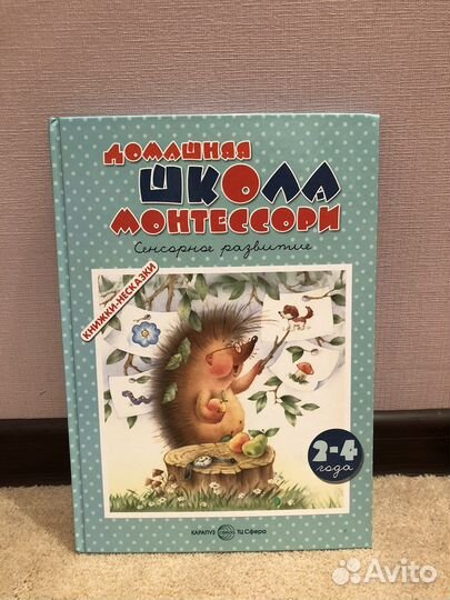 Некрасов, Сутеев, Монтессори, Финдус