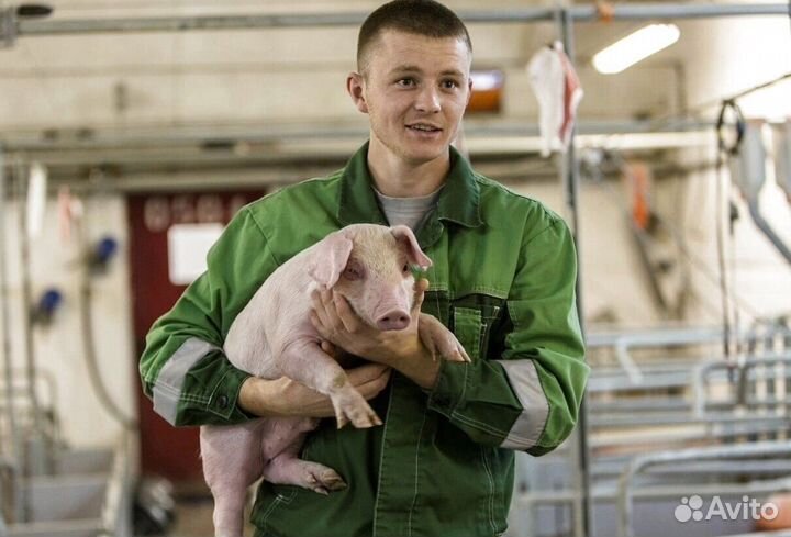 Работник по уходу за животными(Вахта)