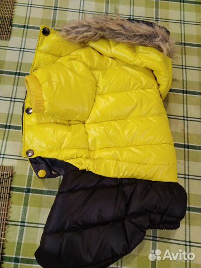 Комбинезон для собачат