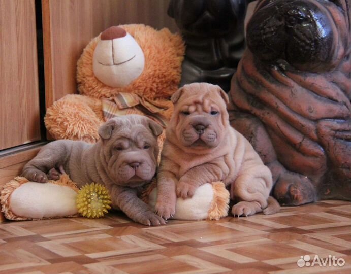 Сказочные детки