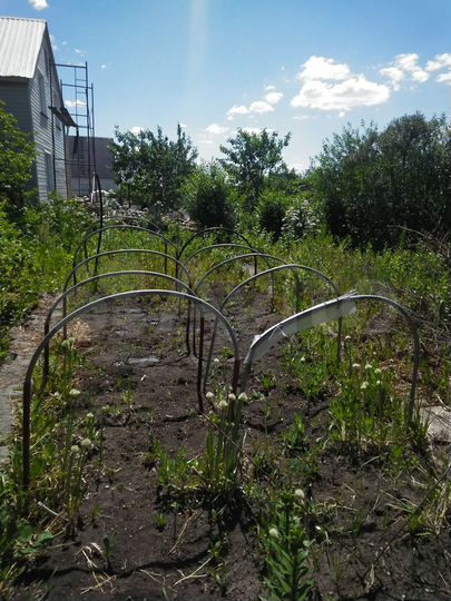 Дача 40 м² на участке 6 сот.