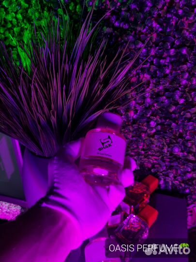 Shaik масляная парфюмерия с высокой стойкостью