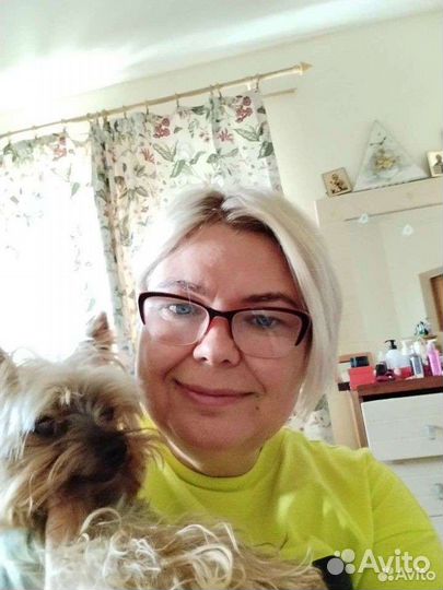 Передержка собак