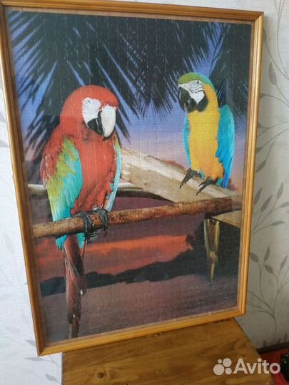 Картины- пазлы с попугаями