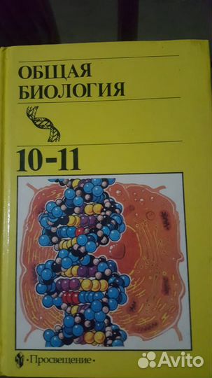 Школьные книги