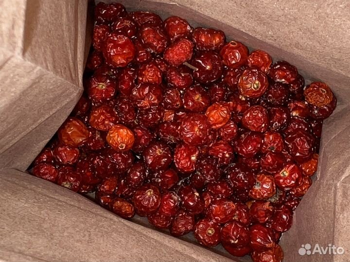 Шиповник сушеный никольский