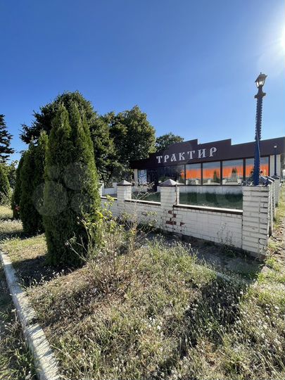 Общепит, 280.8 м²