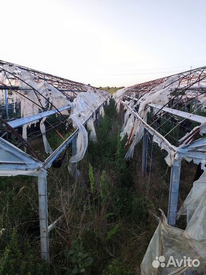 Теплица оцинкованная бу