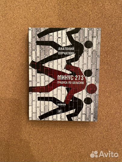 Анатолий Курчаткин «Минус 273 градуса по цельсию»