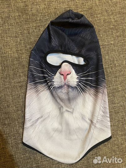 Балаклава кошка
