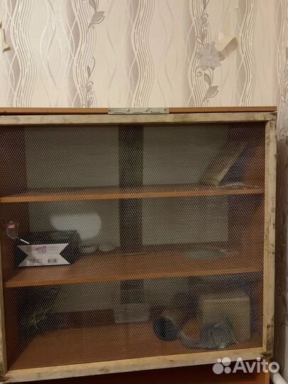 Витрина для шиншилл