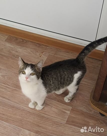 Проша ждет маму