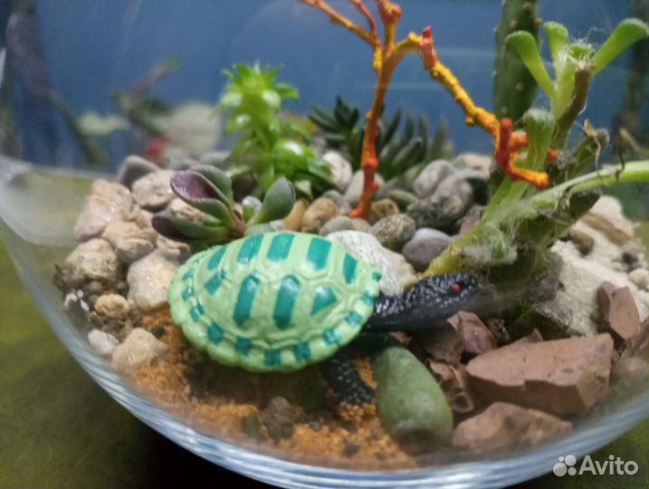 Подарок флорариум