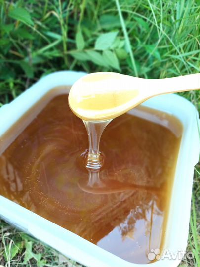 Мёд оптом, своя пасека, от 1 кг - Южноуральск