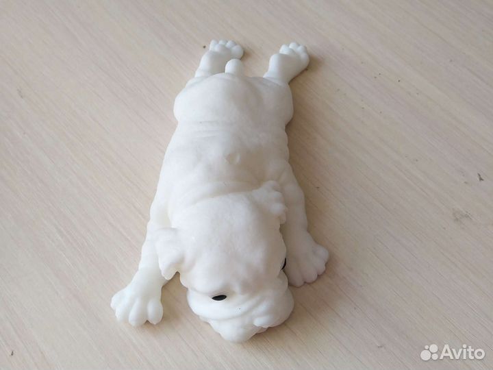 Сквиши собачки