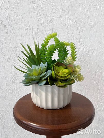 Суккуленты искусственные. Искусственные цветы