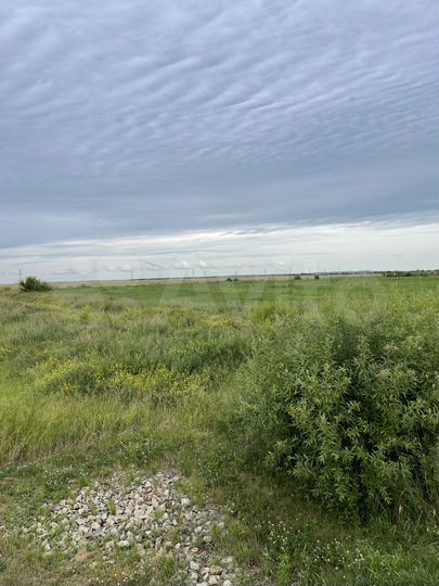 Участок 11 сот. (СНТ, ДНП)