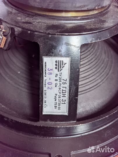 Динамик 75 гдн 31