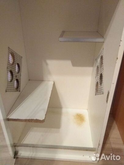 Витрина для шиншилл бу