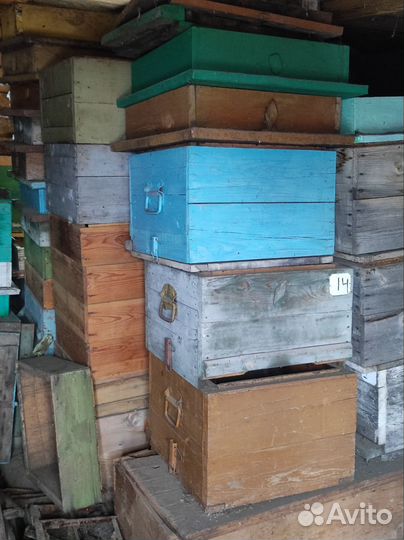 Продам двухкорпусные ульи 