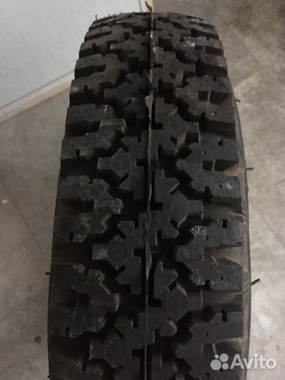 Accelera Accelera R13