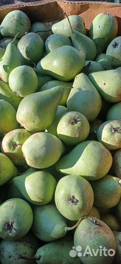 Продаётся груши