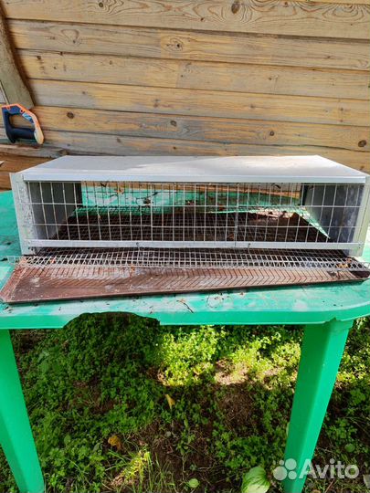 Клетка для перепелов