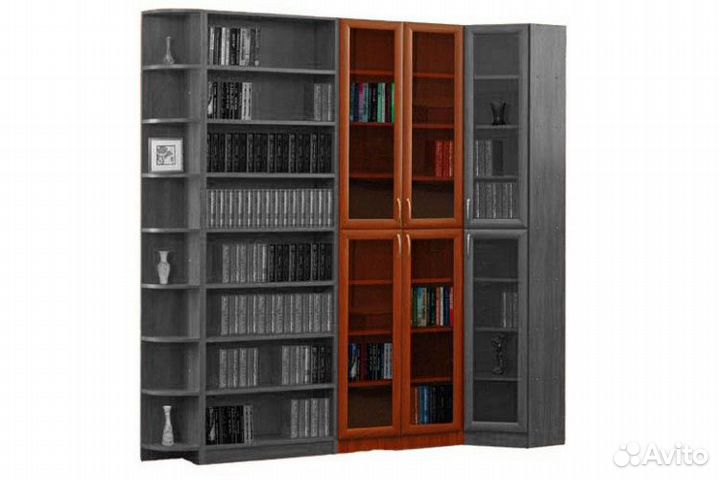 Стеллаж закрытый к Библиотеке 
