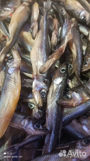 Вяленая корюшка