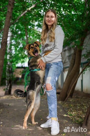 Собака малышка Флора ищет семью из приюта