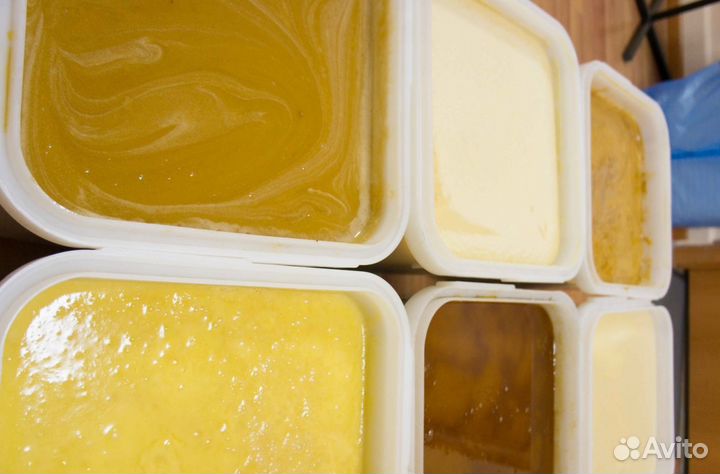 2024 Мёд натуральный алтайский опт